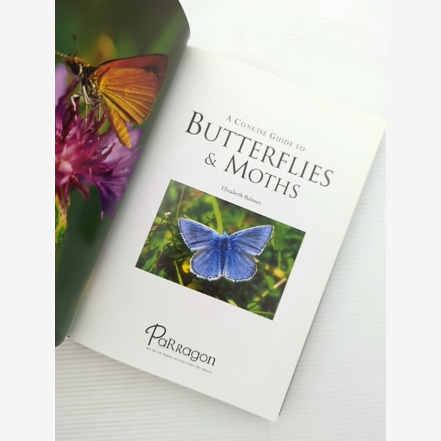 Concise Guide To Butterflies Moths by Elizabeth Balmer, Butterflies & Moths by Elizabeth Balmer — photo 3