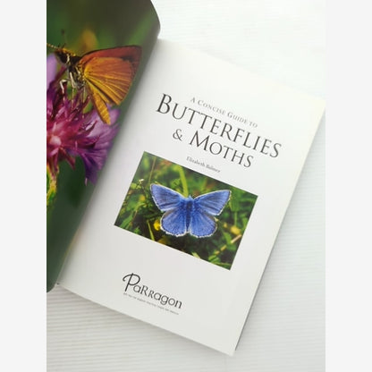 Concise Guide To Butterflies Moths by Elizabeth Balmer, Butterflies & Moths by Elizabeth Balmer — photo 3