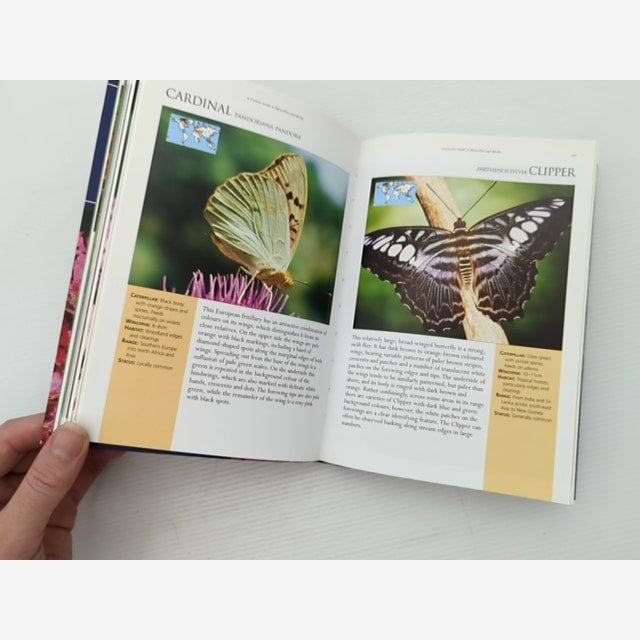 Concise Guide To Butterflies Moths by Elizabeth Balmer, Butterflies & Moths by Elizabeth Balmer — photo 4