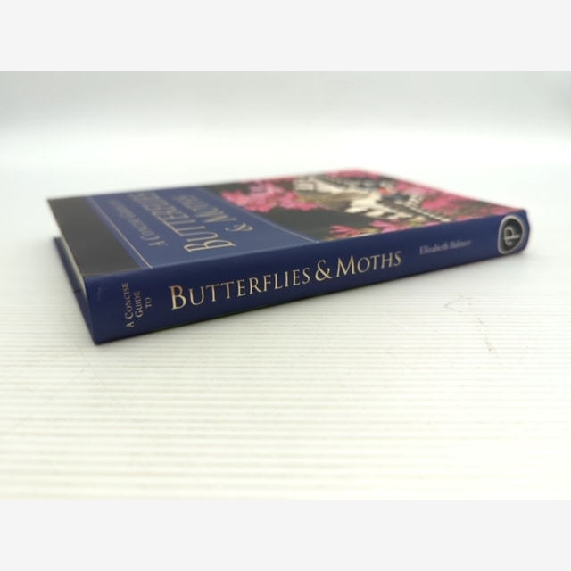 Concise Guide To Butterflies Moths by Elizabeth Balmer, Butterflies & Moths by Elizabeth Balmer — photo 5