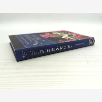Concise Guide To Butterflies Moths by Elizabeth Balmer, Butterflies & Moths by Elizabeth Balmer — photo 5