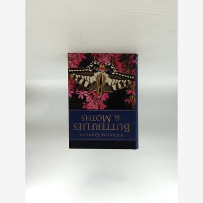 Concise Guide To Butterflies Moths by Elizabeth Balmer, Butterflies & Moths by Elizabeth Balmer book cover