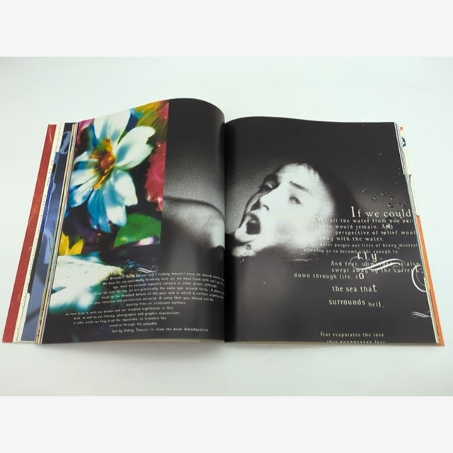 David Carson : 2ndsight Grafik Design After the End of Print, Lewis Blackwell by Lewis Blackwell — photo 6