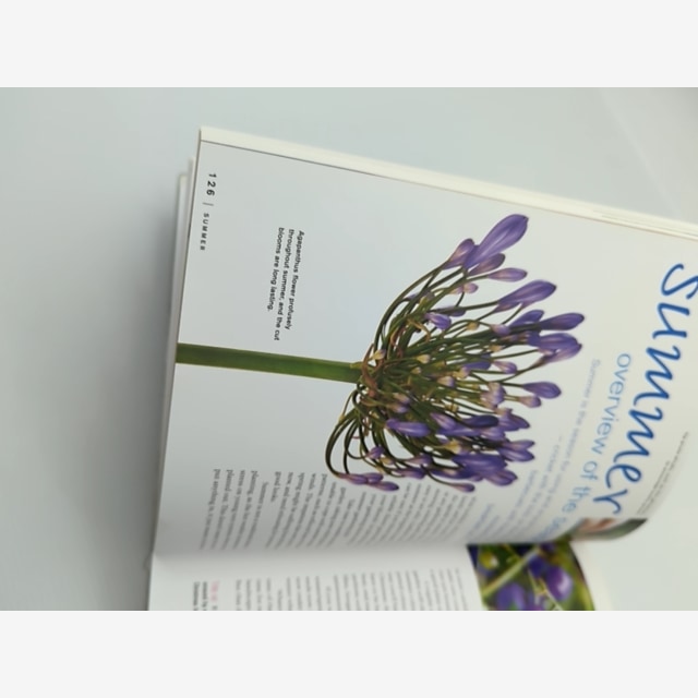 Dig Modern Australian Gardening by Meredith Kirton (Paperback, 2004) Gardening by Meredith Kirton — photo 4