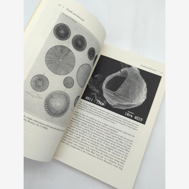 Dinosaurs, Diamonds, And Things From Outer Space: The Great Extinction, David C. by David B. Carlisle — photo 2