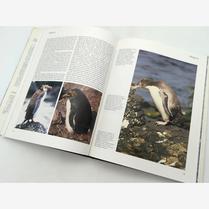 Eric Hosking's Seabirds by R. M. Lockley & E Hosking (Hardcover, 1983) 1st Ed — photo 2