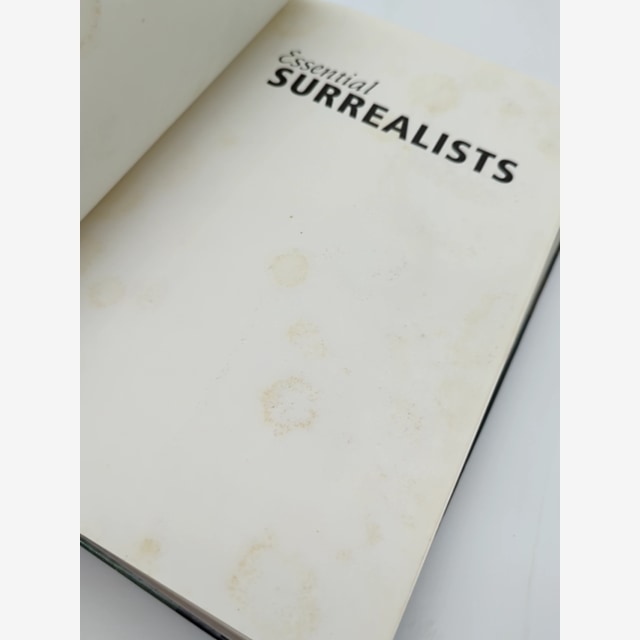 Essential Surrealists by Tim Martin (Hardcover, 1999) 1st Edition Art History by Tim Martin — photo 4