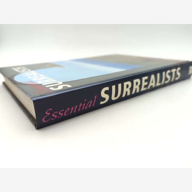 Essential Surrealists by Tim Martin (Hardcover, 1999) 1st Edition Art History by Tim Martin — photo 5