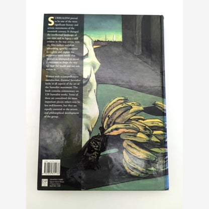 Essential Surrealists by Tim Martin (Hardcover, 1999) 1st Edition Art History by Tim Martin — photo 6