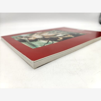 European Masterpieces From The National Gallery Of Ireland, Exhibition Catalogue by National Gallery of Australia — photo 6