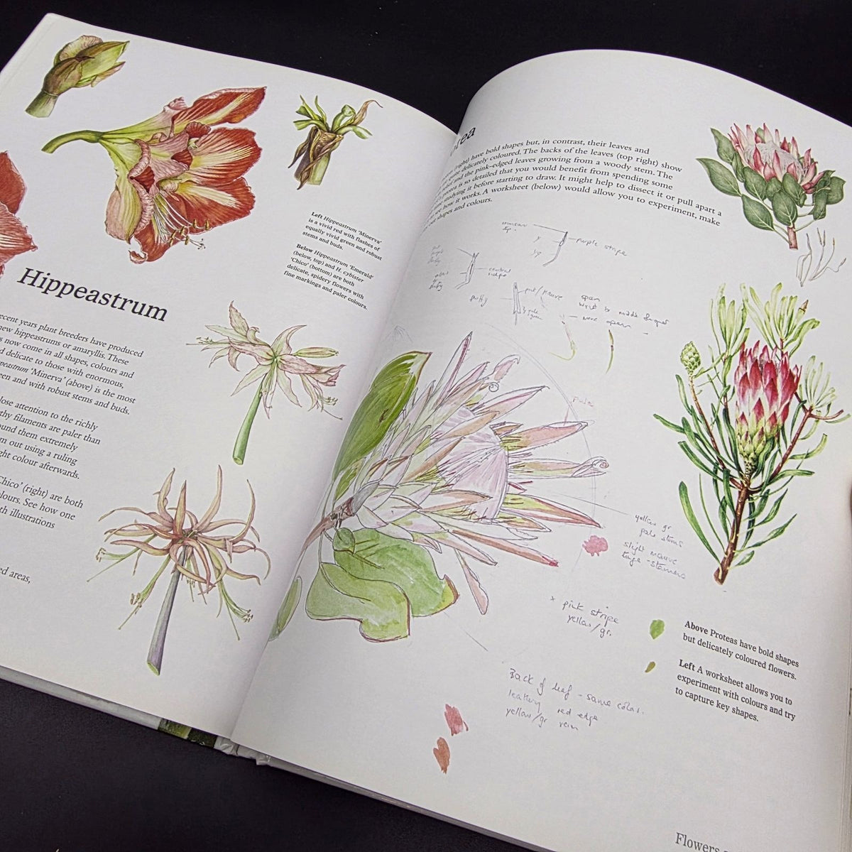Exotic Botanical Illustration with the Eden Project — photo 10