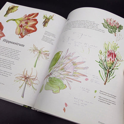 Exotic Botanical Illustration with the Eden Project — photo 10