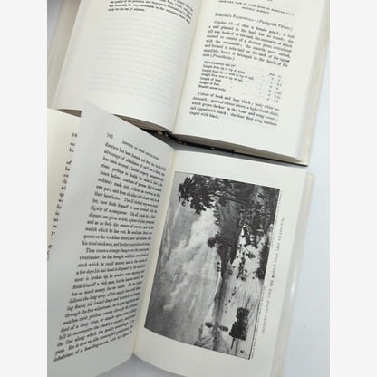 Expeditions in Western Australia 1837-1839 (Volumes 1 & 2) George Grey — photo 2
