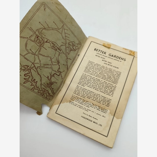 Favourite Roses And Other Plants by Hazelwood Bros (1937) by Hazelwood Bros — photo 5