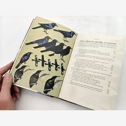 Field Guide To Australian Birds, Volume Two: Passerines by Peter Slater — photo 3