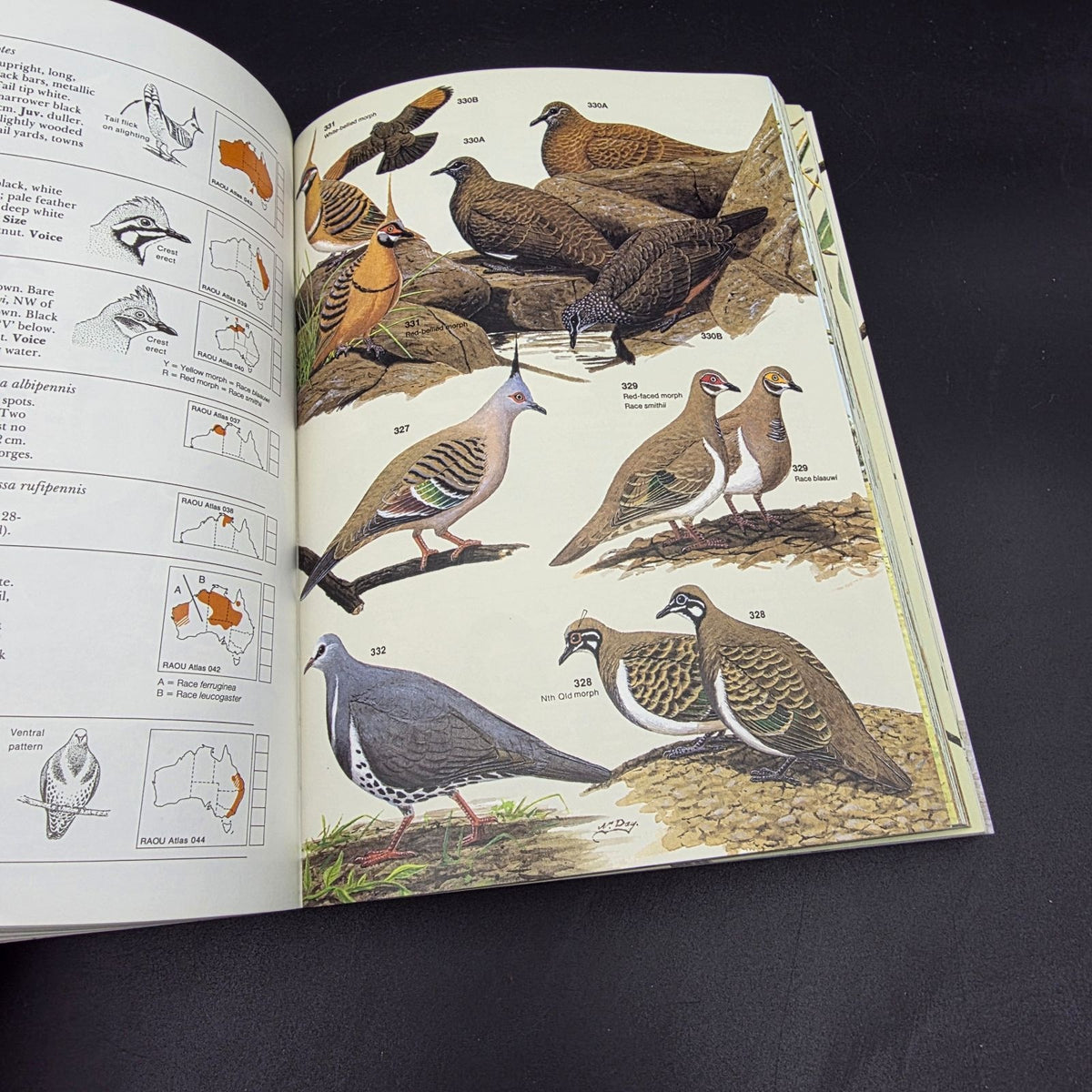 FIELD GUIDE to the Birds of Australia — photo 5