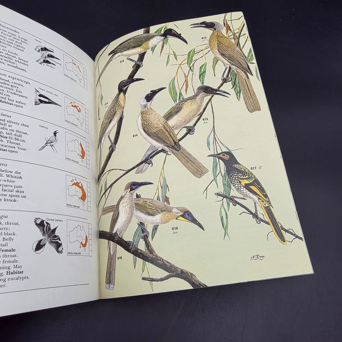 FIELD GUIDE to the Birds of Australia — photo 6