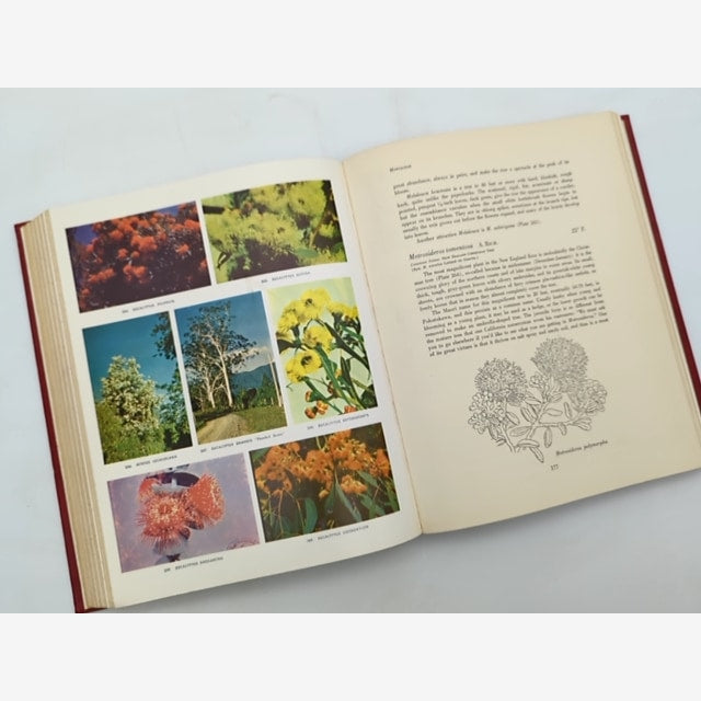 Flowering Trees Of The World by Edwin A Menninger (Hardcover, 1962) — photo 4