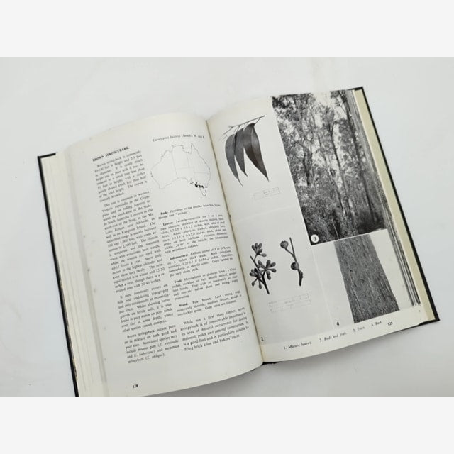 Forest Trees Of Australia by Forestry and Timber Bureau, unknown — photo 3