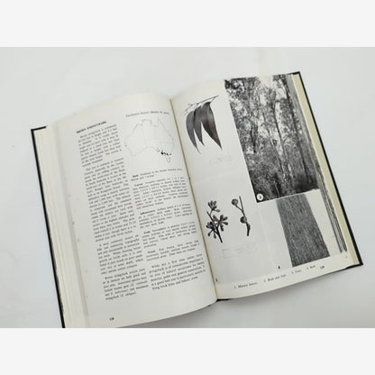 Forest Trees Of Australia by Forestry and Timber Bureau, unknown — photo 3
