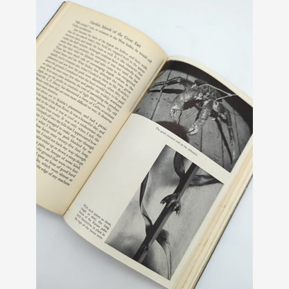 Garden Islands Of The Great East by David Fairchild (Cloth, 1943) by David Fairchild — photo 2