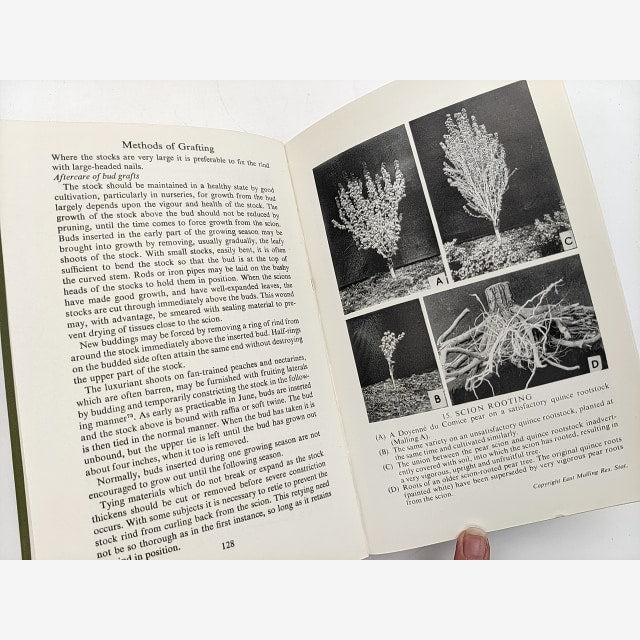 Grafter's Handbook by R.J. Garner (Cloth, 1967) Natural History by R.J. Garner — photo 3