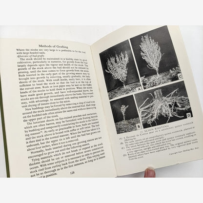 Grafter's Handbook by R.J. Garner (Cloth, 1967) Natural History by R.J. Garner — photo 3