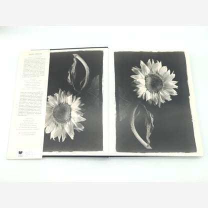 Graphis Photo 96 (Annual) by Martin B Pedersen, Coffee Table Photography Book — photo 6