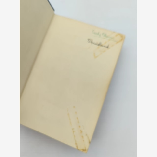 Gyldendal's Dictionary by B Berulfsen (Hardcover, 1962) by B Berulfsen — photo 5