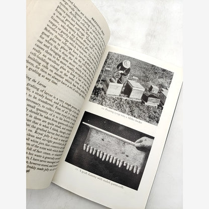 Honey Farming by R O B Manley (Cloth, 1946) Natural Beekeeping by R O B Manley — photo 4