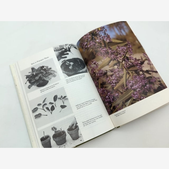 How To Propagate Plants by Jack Plumridge (Hardcover, 1976) Botany — photo 4