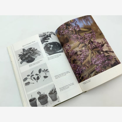 How To Propagate Plants by Jack Plumridge (Hardcover, 1976) Botany — photo 4