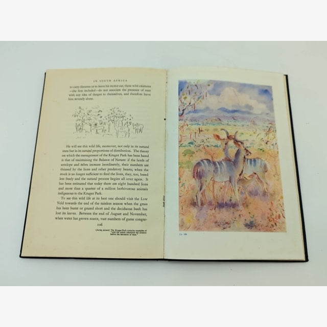 In South Africa by Francis Brett Young (Hardcover, 1952) Social History by Francis Brett Young — photo 4