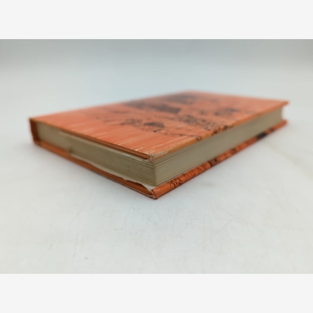 Iron Mountain by Mavis Thorpe Clark (Hardcover, 1970) by Mavis Thorpe Clark — photo 6