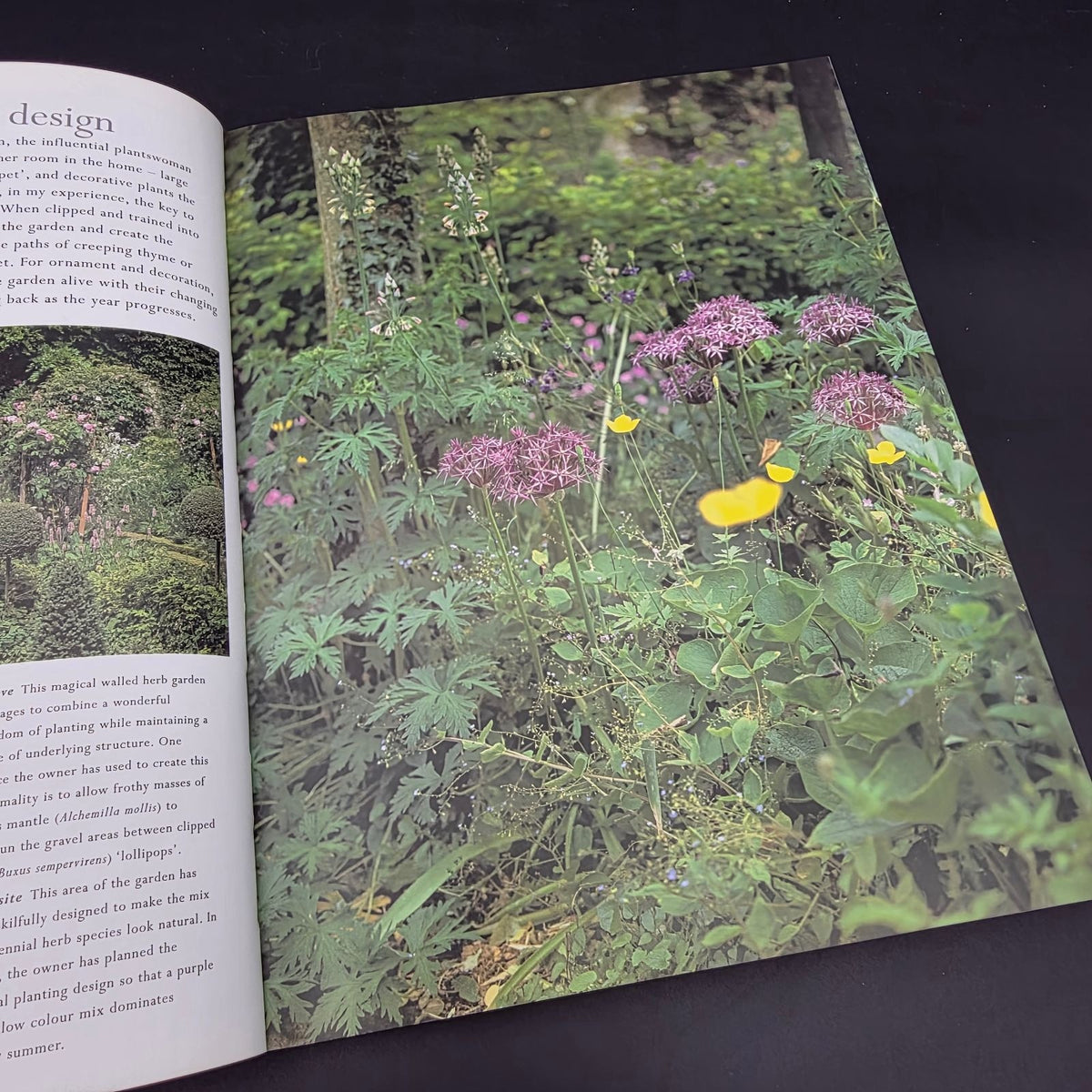 Jekka McVicar New Book of Herbs — photo 3
