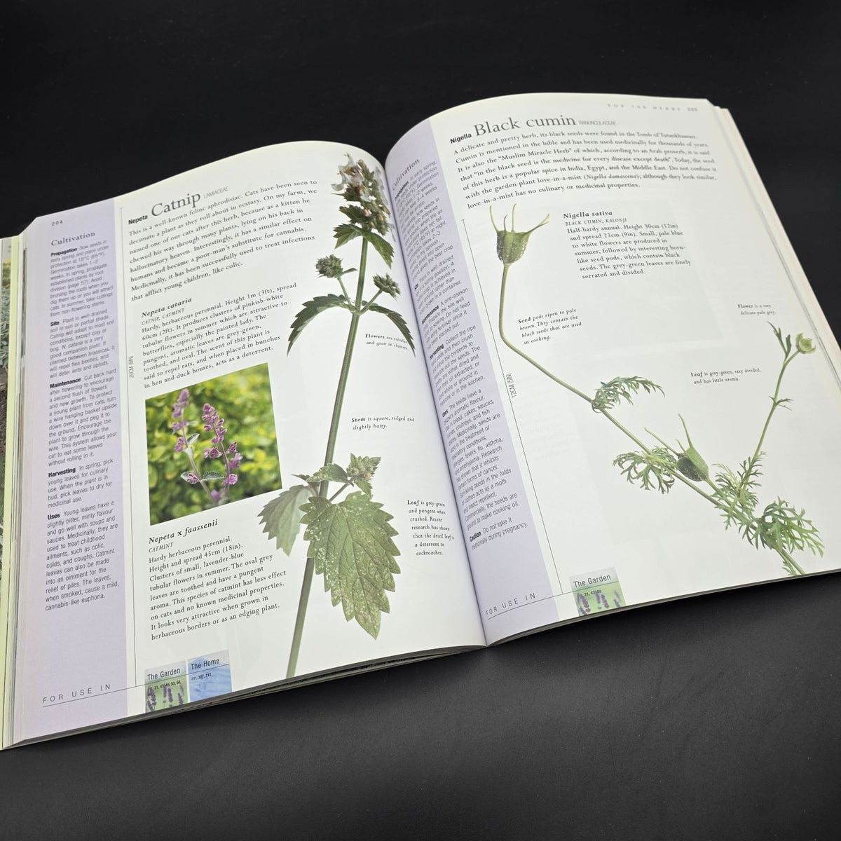 Jekka McVicar New Book of Herbs — photo 7