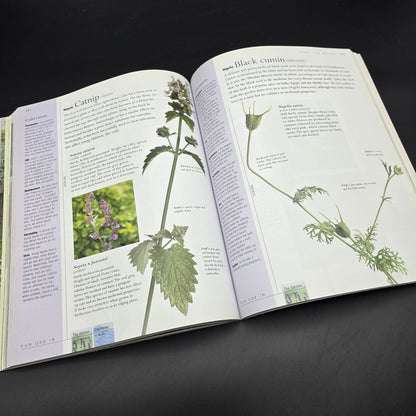 Jekka McVicar New Book of Herbs — photo 7