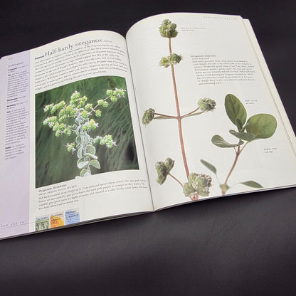 Jekka McVicar New Book of Herbs — photo 8