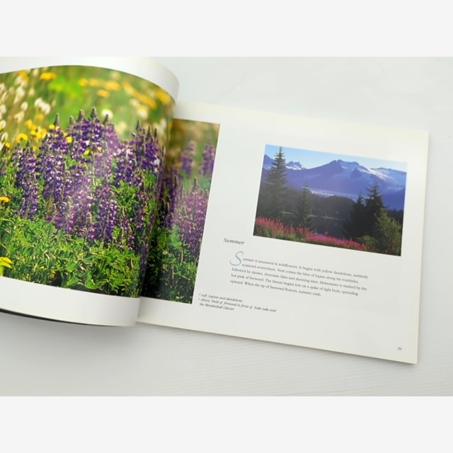 Juneau Portrait Ii by Annabel Lund (Paperback, 1997) by Annabel Lund, Mark Kelley — photo 2