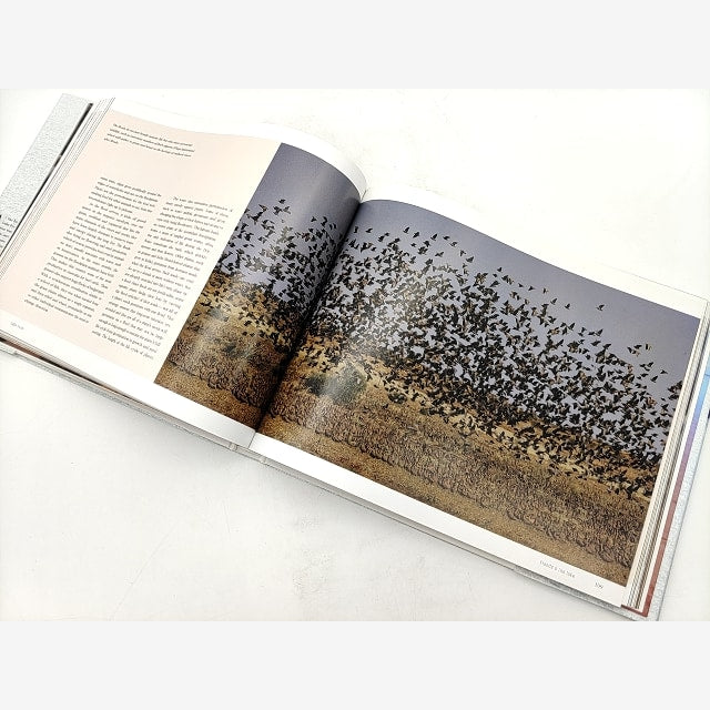 Lake Eyre: A Journey Through The Heart Of The Continent (Hardcover, 2012) by Paul Lockyer — photo 4