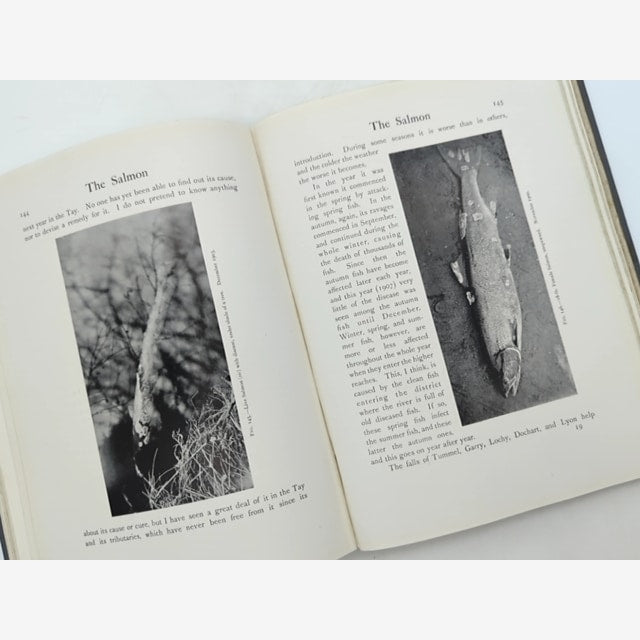 Life-history And Habits Of The Salmon, Sea-trout, Trout, And Other Freshwater Fi by Peter D Malloch — photo 4