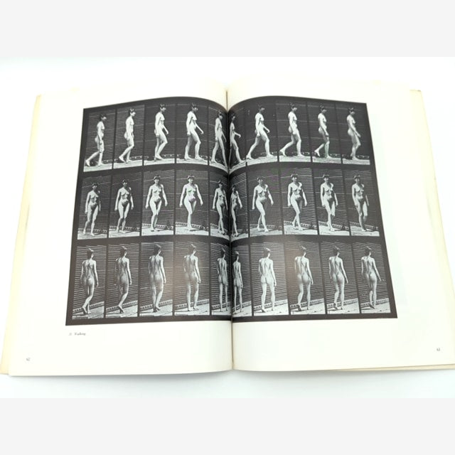 Male & Female Figure in Motion: 60 Classic Photographic Sequences, Photography by Eadweard Muybridge — photo 4