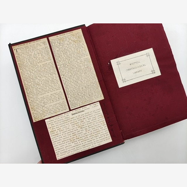 Manual of British Birds by Howard Saunders, 1927 Signed, Important Copy — photo 2