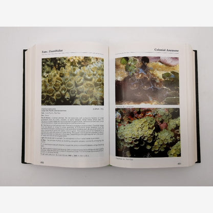Marine Atlas Volume 1 by Hans A. Baensch & Helmut Debelius (Leather Bound, 1997) by Hans A. Baensch — photo 5