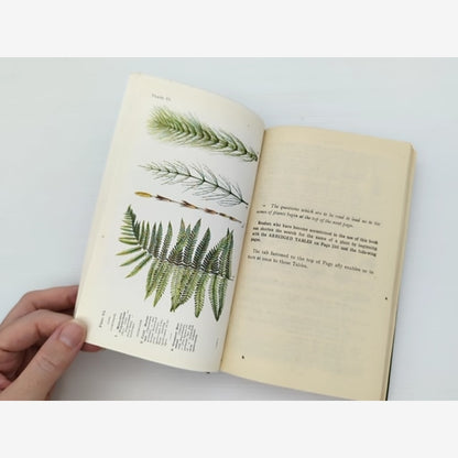 Name The Flower by Gaston Bonnier (Hardcover, 1944) — photo 4