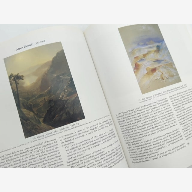 New Worlds From Old by Elizabeth Johns 1998 19th Century Landscapes Art History by Andrew Sayers — photo 3