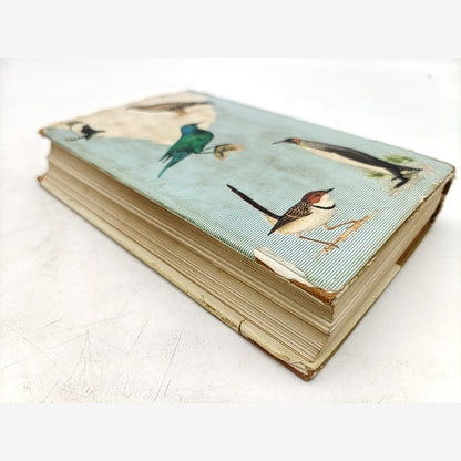 Newman's Birds Of Southern Africa by Kenneth Newman, SIGNED, Birdwatching — photo 3