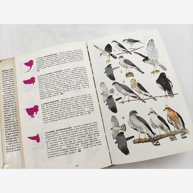Newman's Birds Of Southern Africa by Kenneth Newman, SIGNED, Birdwatching — photo 4