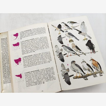 Newman's Birds Of Southern Africa by Kenneth Newman, SIGNED, Birdwatching — photo 4