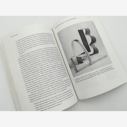 Painting As Model by Yve-Alain Bois (Paperback, 1993) Art Theory by Yve-Alain Bois — photo 3